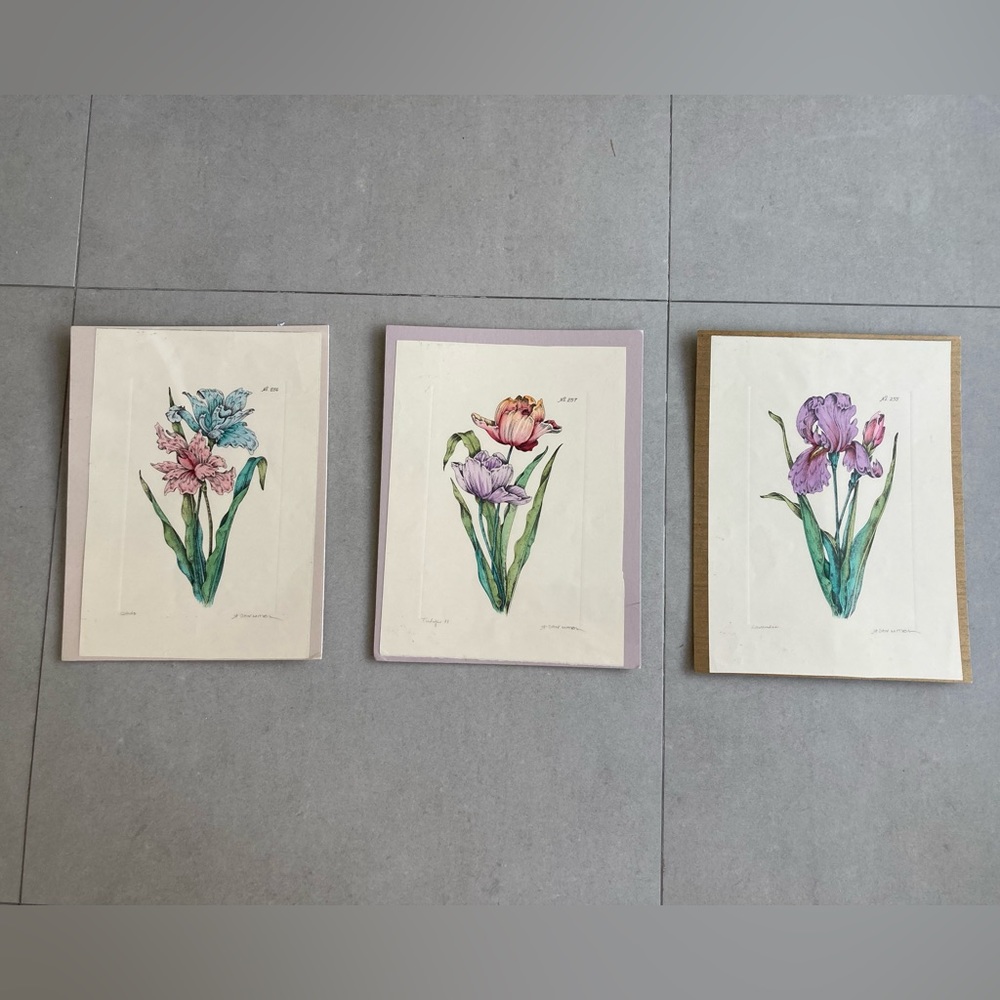 🎁 Set of 3 vintage botanical illustrations - drawings prints